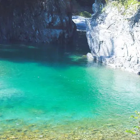 Haus Viktoria 아파트