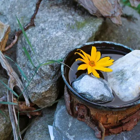 Апартаменты Haus Viktoria *