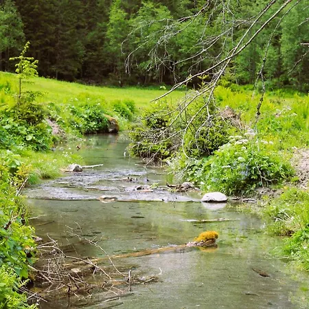 Haus Viktoria * 메이른호픈