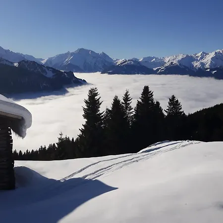 Haus Viktoria Майрхофен