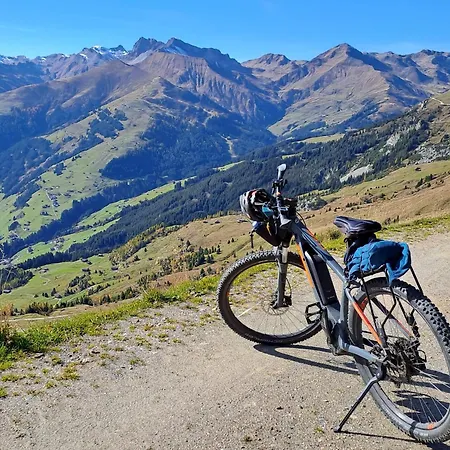 Апартаменты Haus Viktoria *