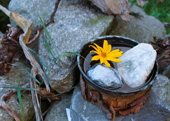 Appartement Haus Viktoria *