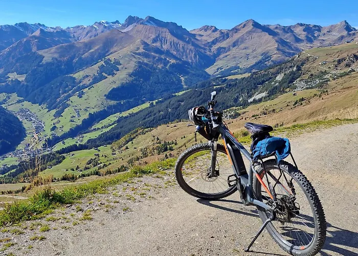 Appartement Haus Viktoria *